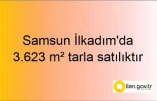 Samsun İlkadım'da 3.623 m² tarla mahkemeden...
