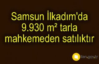Samsun İlkadım'da 9.930 m² tarla mahkemeden...