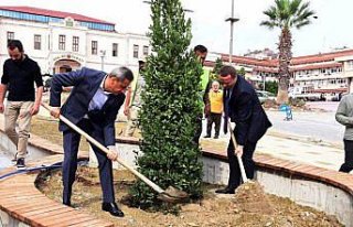 Sinop'ta Millet Bahçesi Projesi kapsamında 13 bin...