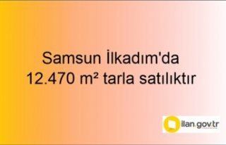 Samsun İlkadım'da 12.470 m² tarla mahkemeden...