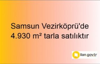 Samsun Vezirköprü'de 4.930 m² tarla mahkemeden...