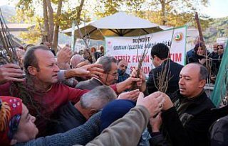 Bozkurt'ta vatandaşlara ücretsiz fidan dağıtıldı