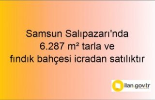 Samsun Salıpazarı'nda 6.287 m² tarla ve fındık...
