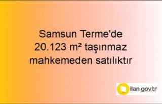 Samsun Terme'de 20.123 m² taşınmaz mahkemeden...