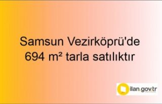 Samsun Vezirköprü'de 694 m² tarla mahkemeden...