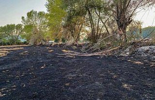 Amasya'da son 2 ayda 108 anız yangını meydana...