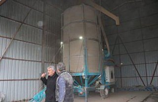 Havza'da danelik mısır kurutma tesisi faaliyete...