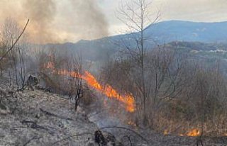 Artvin'de orman yangınında 1 hektar alan zarar...