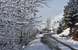 Giresun ve Gümüşhane'de 33 köy yolu kar nedeniyle...