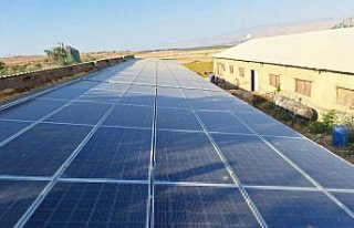 Filistinli çiftçiler güneş enerjisiyle üretimi...