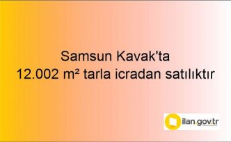 Samsun Kavak'ta 12.002 m² tarla icradan satılıktır