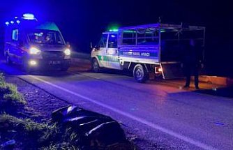 Samsun'da otomobilin çarptığı tır sürücüsü öldü