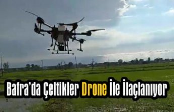 Bafra’da Çeltikler Drone İle İlaçlanıyor