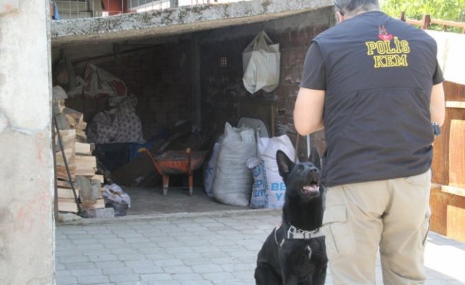 Samsun'da “torbacı“ operasyonunda 7 zanlı yakalandı