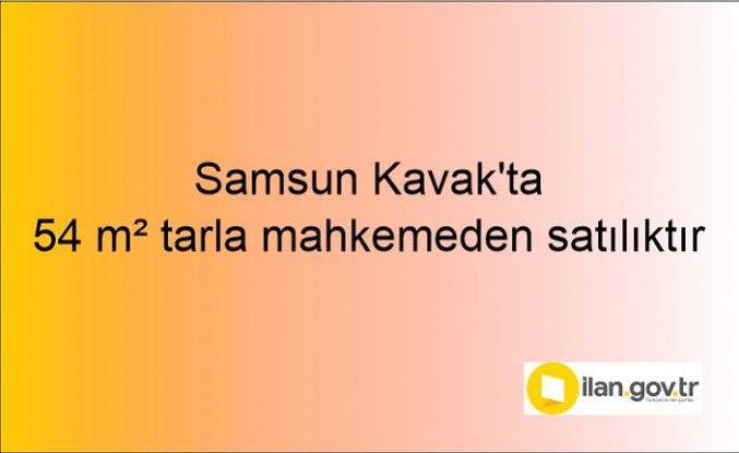 Samsun Kavak'ta 54 m² tarla mahkemeden satılıktır