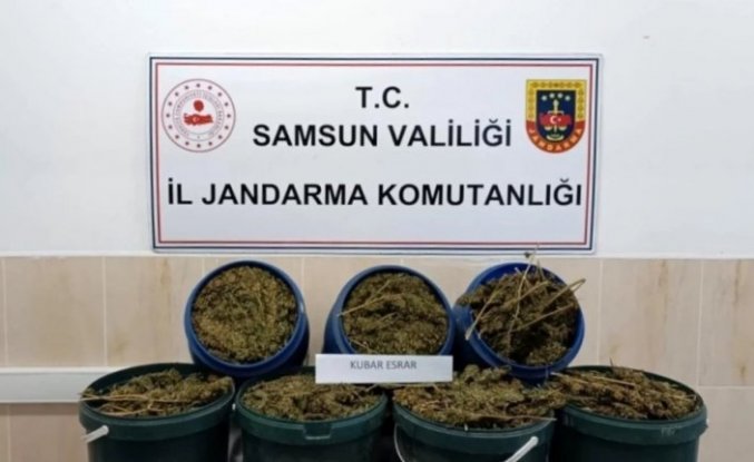 Samsun'da uyuşturucu operasyonunda 1 kişi tutuklandı