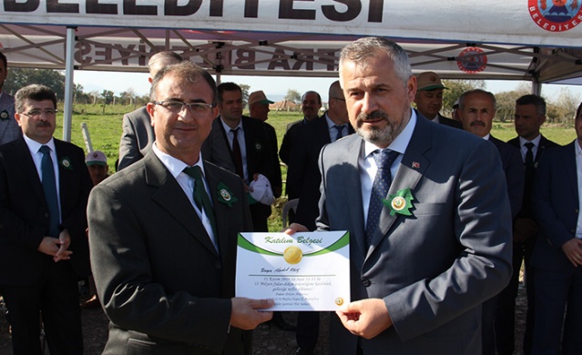 BAFRA’DA 5 BİN FİDAN TOPRAKLA BULUŞTU