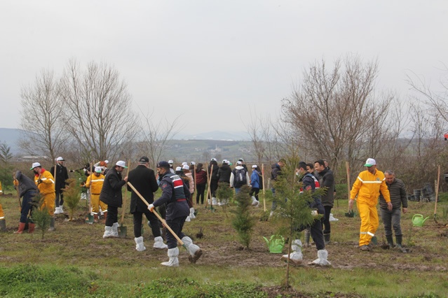 BAFRA'DA “DÜNYA ORMANCILIK GÜNÜ VE ORMAN HAFTASI” FİDAN DİKİMİ İLE KUTLANDI