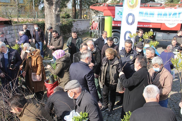 BAFRA'DA “DÜNYA ORMANCILIK GÜNÜ VE ORMAN HAFTASI” FİDAN DİKİMİ İLE KUTLANDI