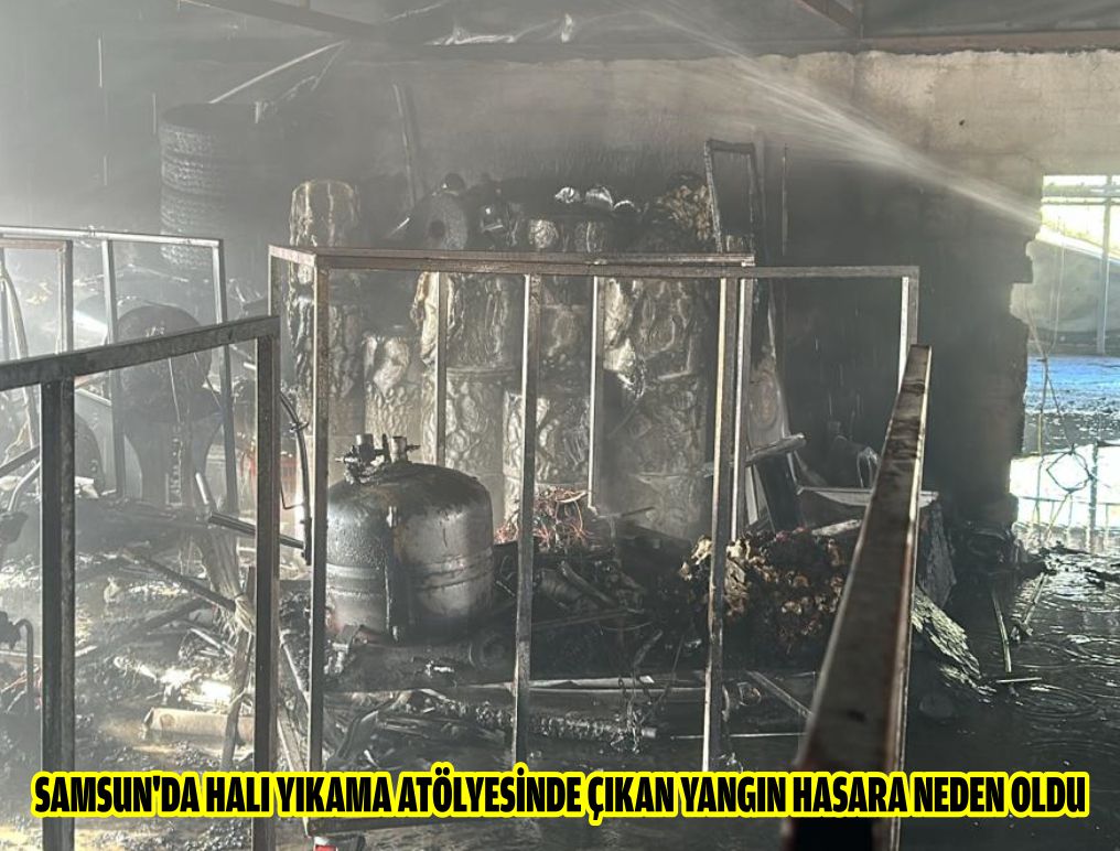 Samsun'da halı yıkama atölyesinde çıkan yangın hasara neden oldu