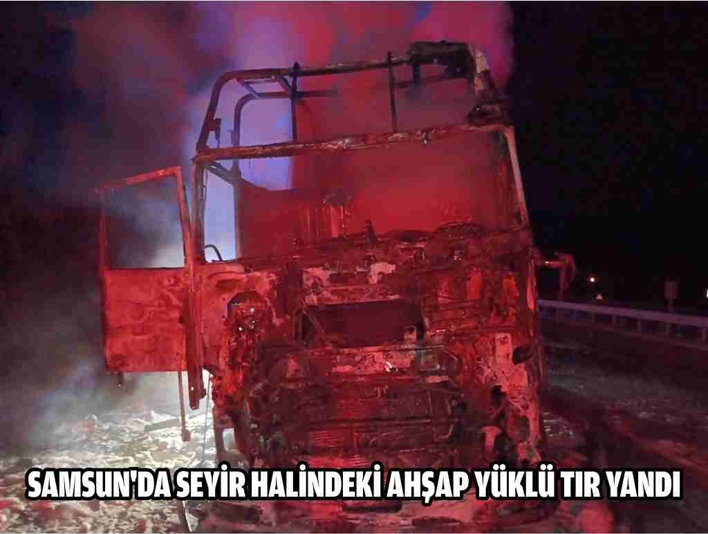 Samsun'da seyir halindeki ahşap yüklü tır yandı