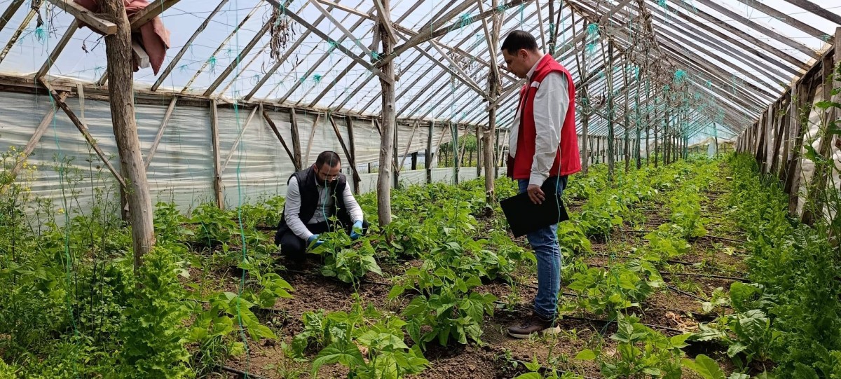 Salıpazarı'nda sera denetimi yapıldı