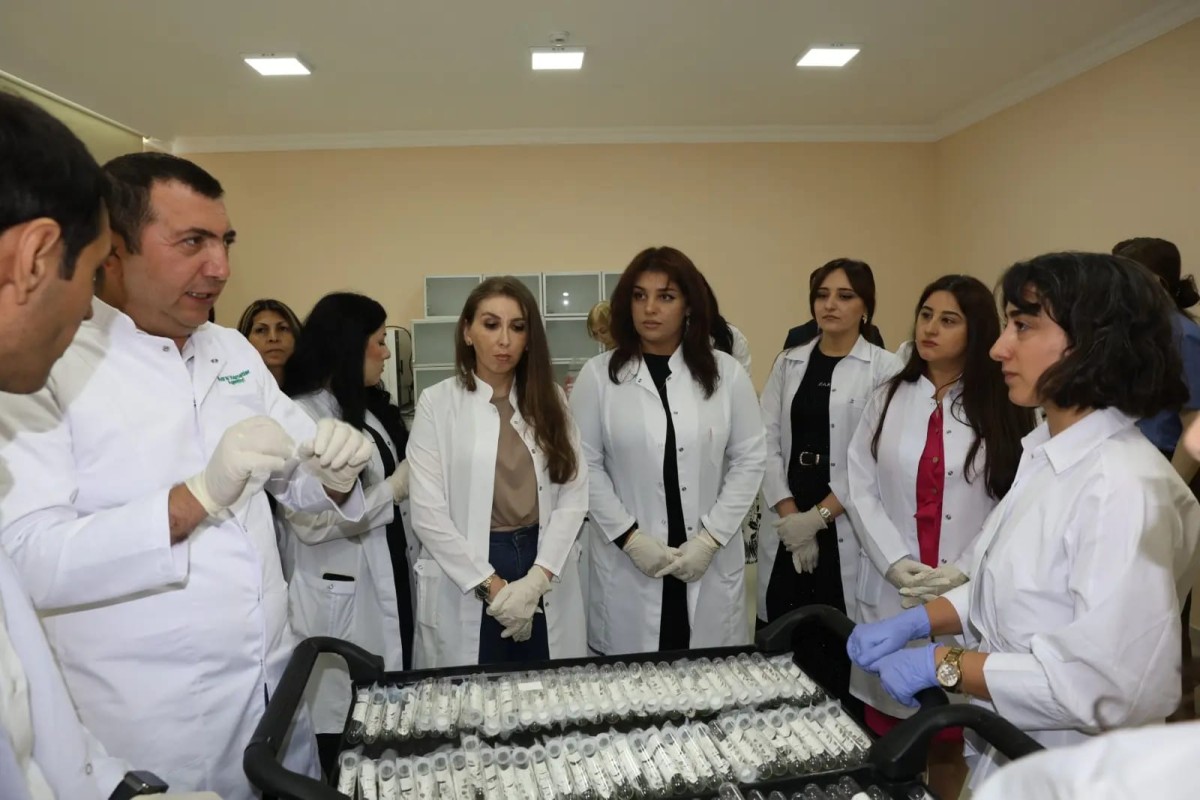 Türkiye'den Azerbaycan'a kahverengi kokarcayla mücadele için 20 bin samuray arıcığı