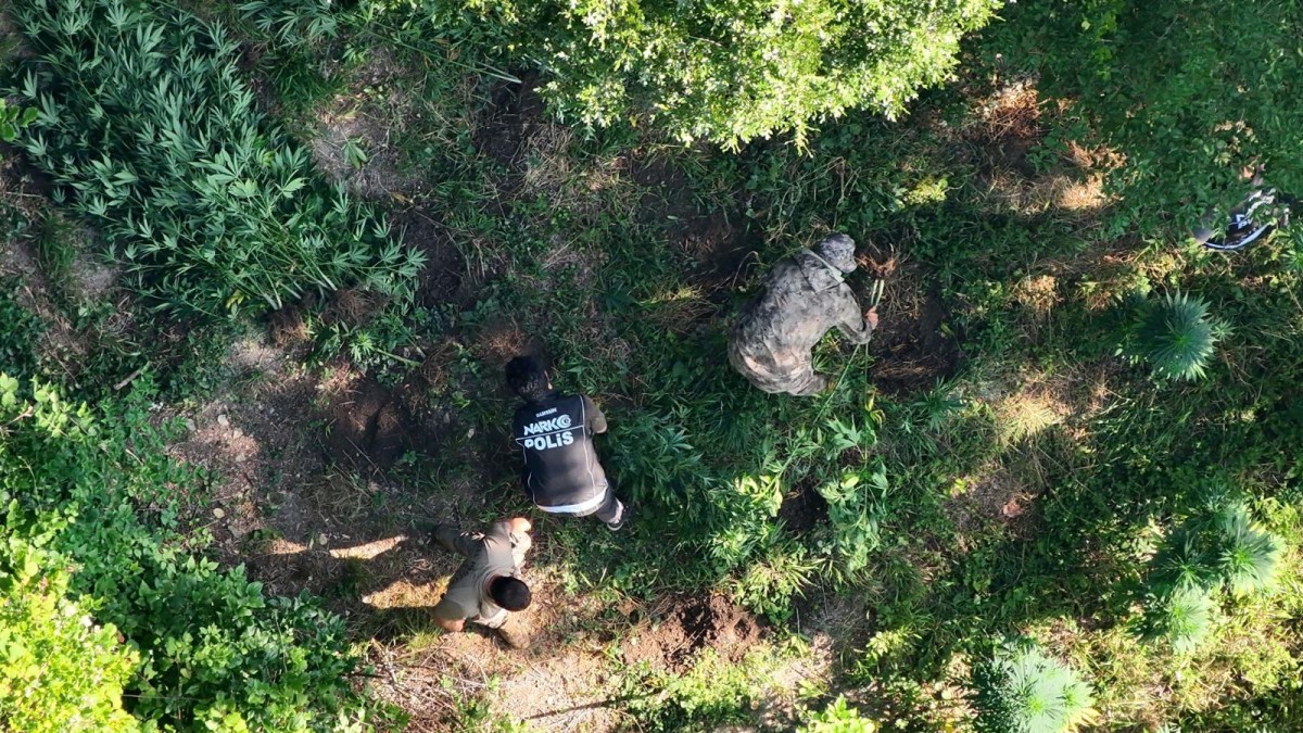Bafra'da uyuşturucu operasyonunda yakalanan 3 kişiden 1'i tutuklandı
