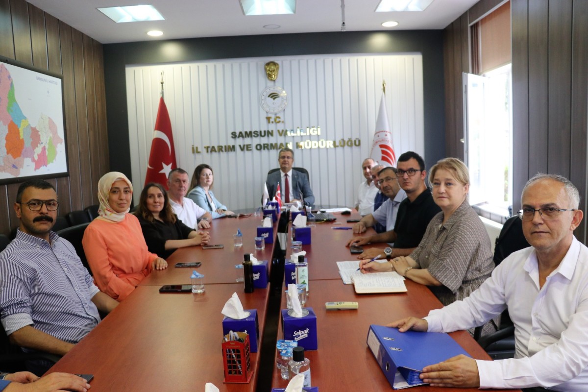 Samsun'da fındıkta 2026 rekolte tahmini için yapılan arazi çalışmaları tamamlandı