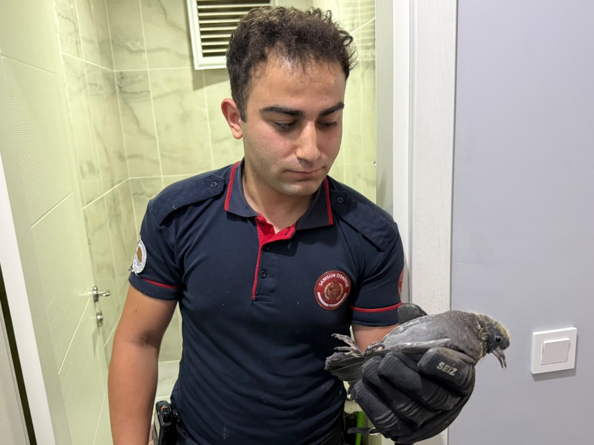 Alaçam'da apartman boşluğuna düşen yavru güvercini itfaiye kurtardı