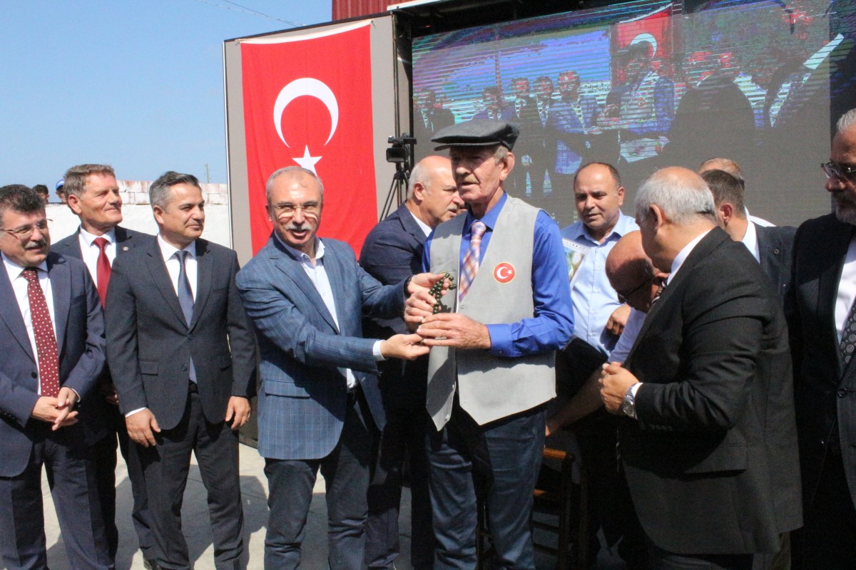 Samsun'da Çeltik Hasat Günü etkinliği yapıldı