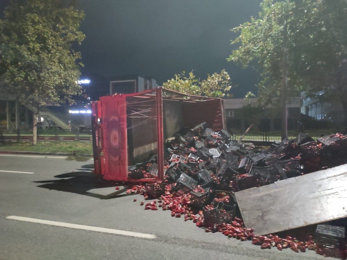 Samsun'da biber yüklü kamyonun devrilmesi sonucu 2 kişi yaralandı