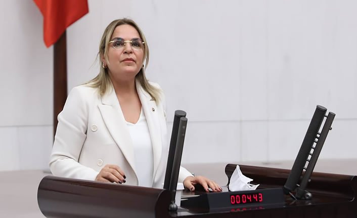 TBMM Sağlık Komisyonu Üyesi CHP'li Hancıoğlu:  