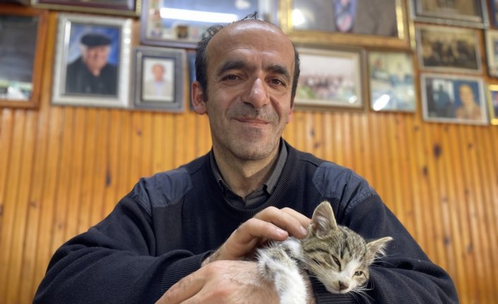 Hıdırnebi Yaylası'nda kediler üşümesin diye her gün soba yakıyor