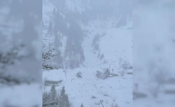 Ayder Yaylası'nda çığ düşmesi sonucu 3 bungalov ev zarar gördü