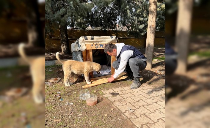 Deprem bölgesinde "Şanslı" ismi verilen sahipsiz köpeğin bakımını polis ekipleri üstlendi