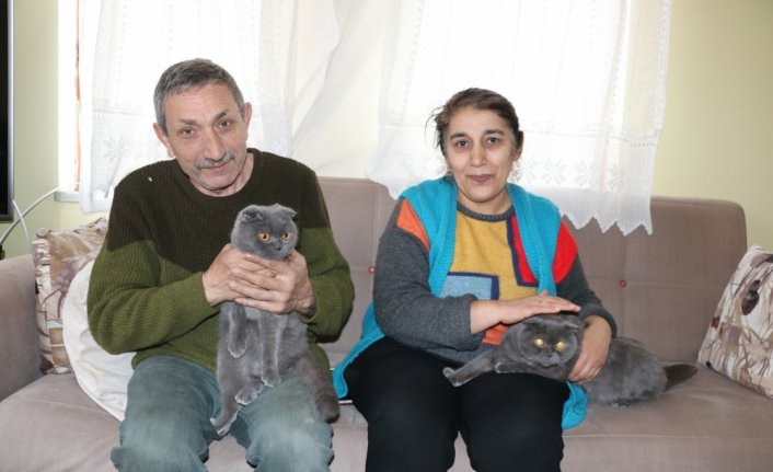 Depremzede aile ağır hasarlı evlerinde mahsur kalan kedilerini kurtarmadan bölgeden ayrılmadı