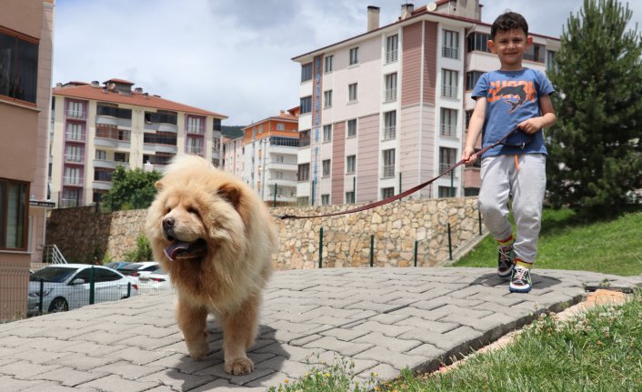 Enkazdan kurtarılma videolarını gördüğü “Şans“ı Hatay'dan alıp evine getirdi