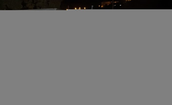 Karabük'te kent merkezine inen yavru ayı iş yerlerine girmeye çalıştı