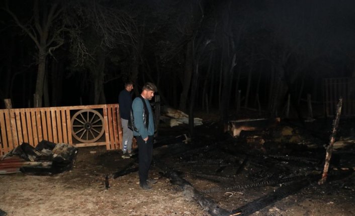 Kastamonu'daki ahır yangınında lama, midilli ve tavus kuşu öldü