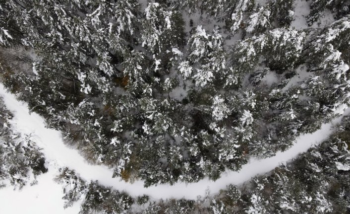 Kastamonu'da kar yağışı sonrası ormanlar dronla görüntülendi