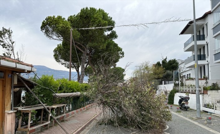 Meteorolojinin fırtına uyarısı üzerine yük gemileri Sinop'un doğal limanına demirledi