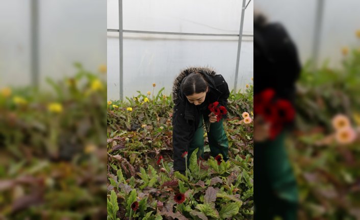 Genç kadın çiftçi aldığı destekle ailesinin çiçek serasını büyüttü