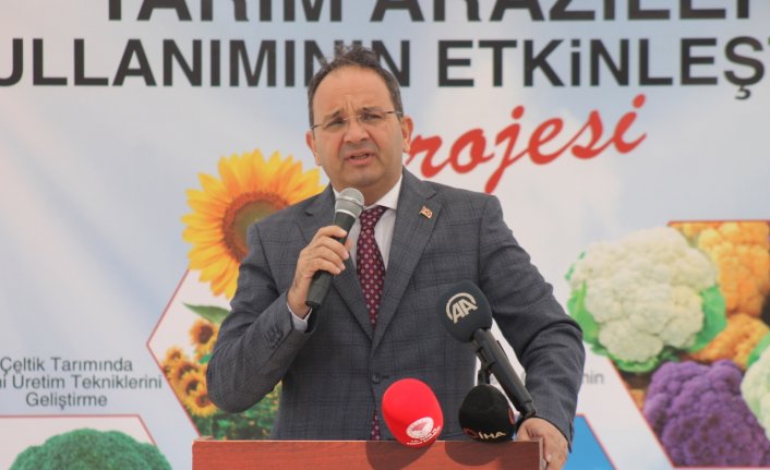 Bafra'da çiftçilere sera naylonu, tohum ve süt sağım makinesi dağıtıldı