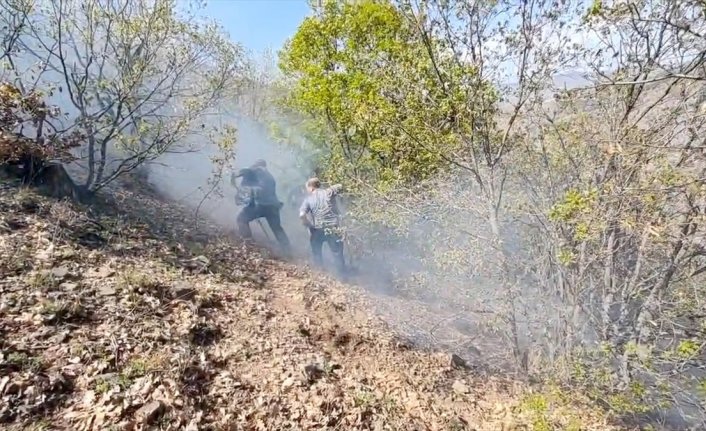 Çorum'da çıkan yangında 10 dekar ağaçlık alan zarar gördü