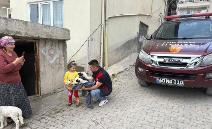 Tokat'ta kaybolan kuzu, itfaiye tarafından bulunarak sahibine teslim edildi