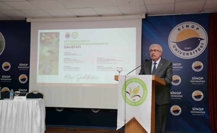 Sinop'ta Kestane Gal Arısı ve Kahverengi Kokarca Mücadelesi Çalıştayı düzenlendi