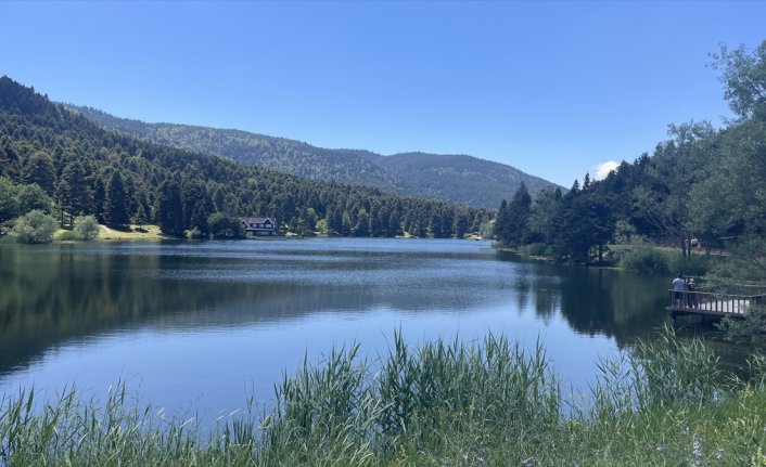Bolu'da 1 Temmuz-30 Eylül tarihleri arasında ormanlara girişler yasaklandı