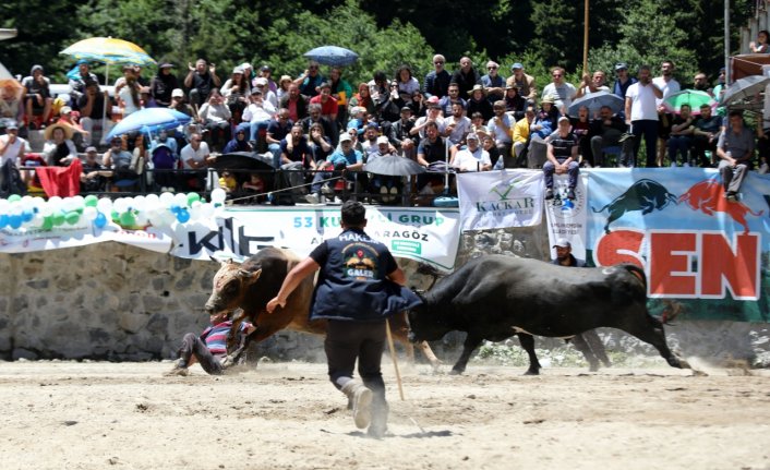 Rize'de "28. Çamlıhemşin Ayder Kültür, Sanat ve Doğa Festivali" sona erdi