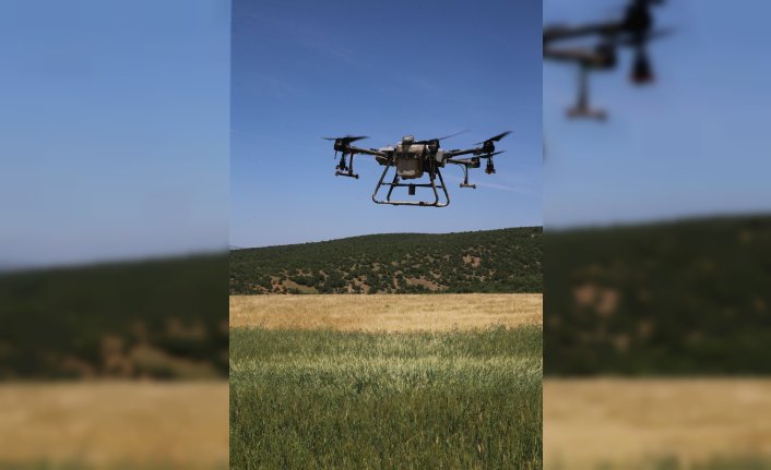 Tokat'ta dron alan çiftçi kendisinin ve diğer çiftçilerin ekili alanlarını ilaçlıyor